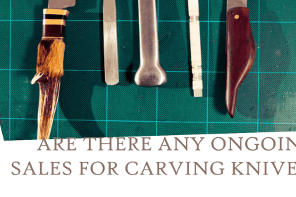 sales for carving knives